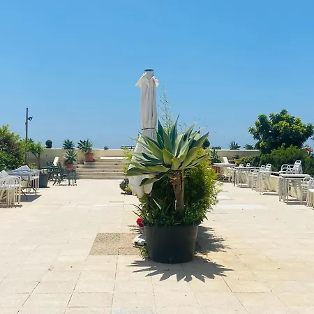 First Line Studio/center/5p!